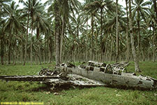 WW II airplane wreck